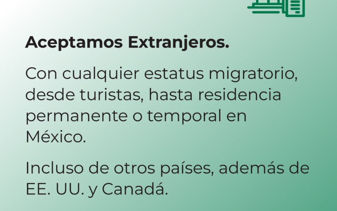 Promociones Kredi Noviembre 2024